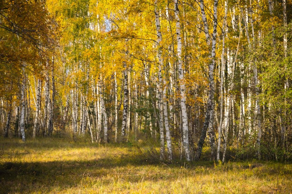 Photograph by Valdis Serzhans