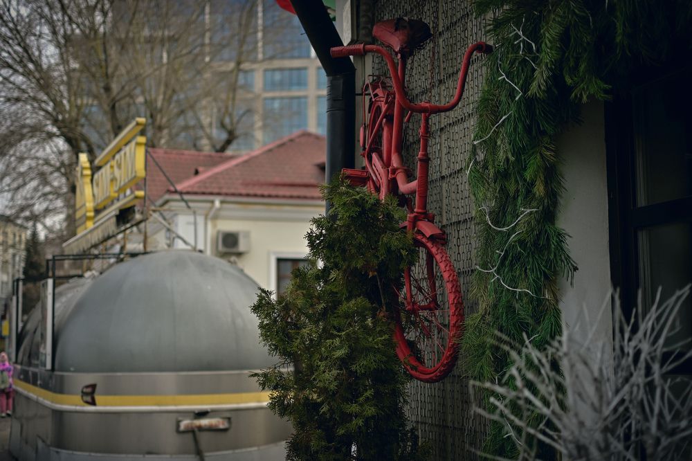 Фотография автора Екатерина Высоцкая