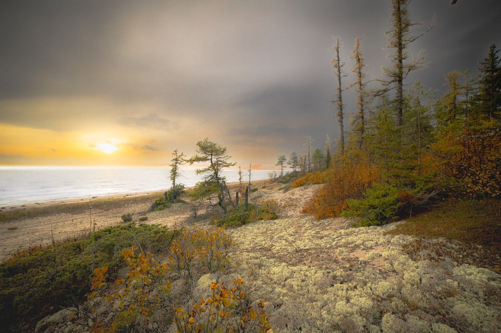 Осень на Лямицком берегу Белого моря