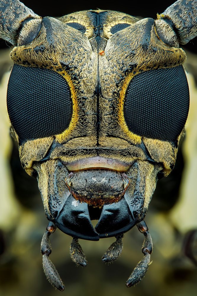 Photograph by Tran The Ngoc