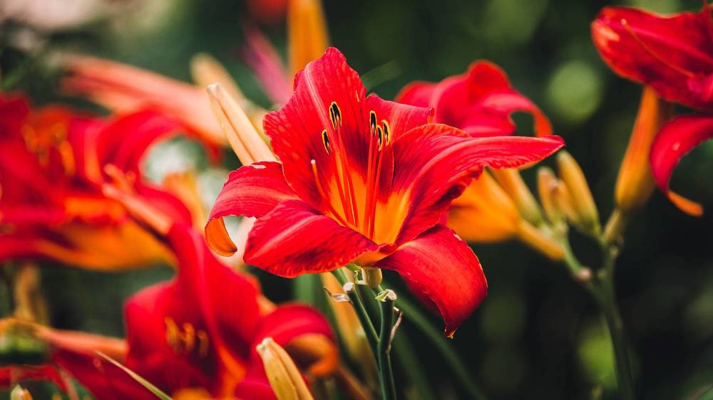 Photograph by Вадим Басов