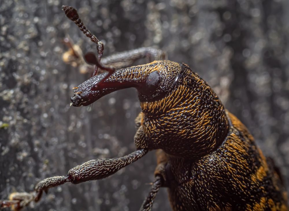 Photograph by Елена Шарапова