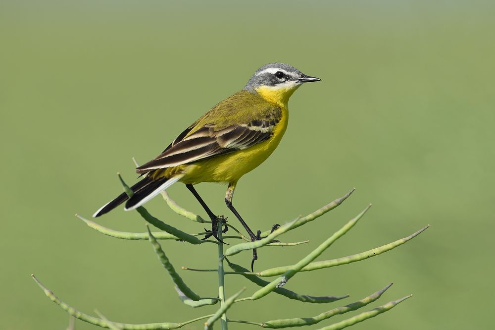 Photograph by Анатолий Садовский