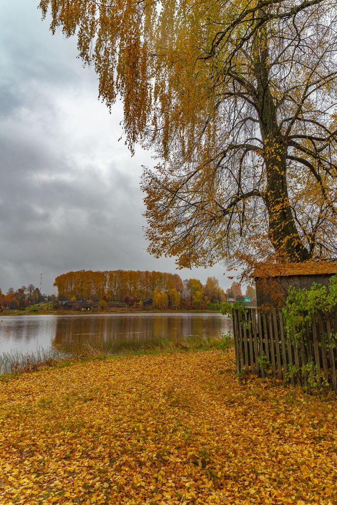 Фотография автора Шуплецов Алексей