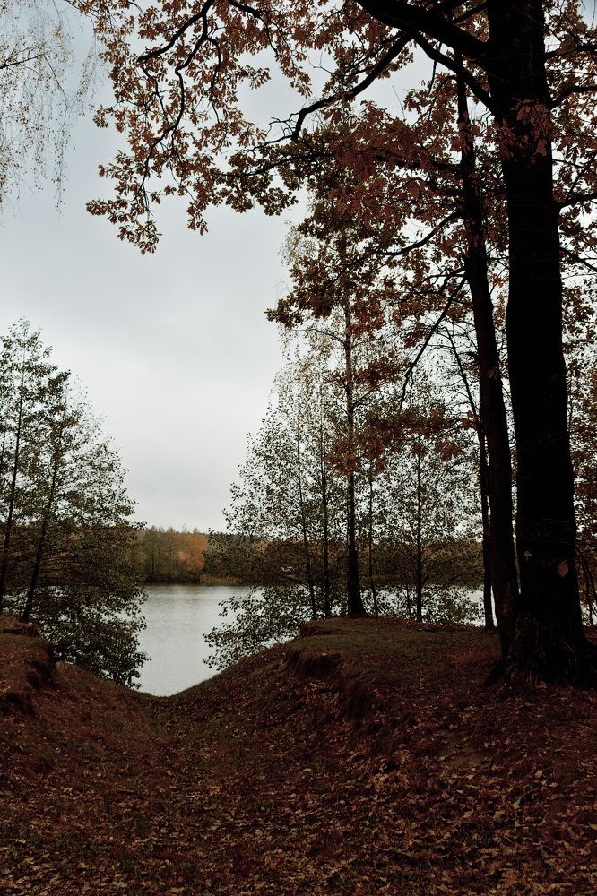 Photograph by Andrey Anikanov