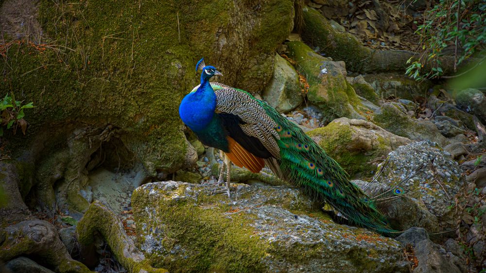 Photograph by Valdis Serzhans