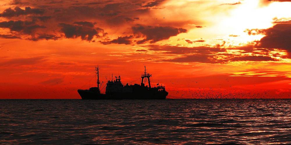 Фотография автора Сергей Гречихин