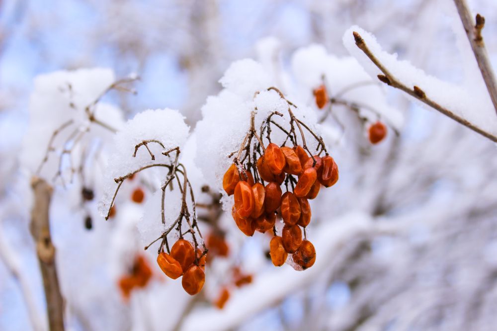 Photograph by Ирина Дмитриенко