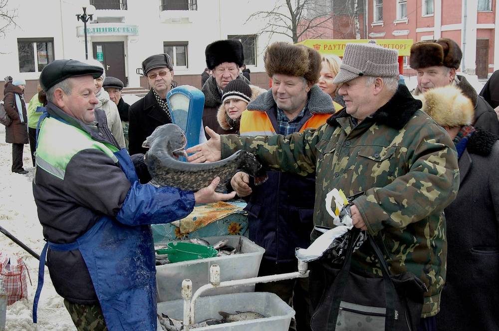 Фотография автора Николай Семенец