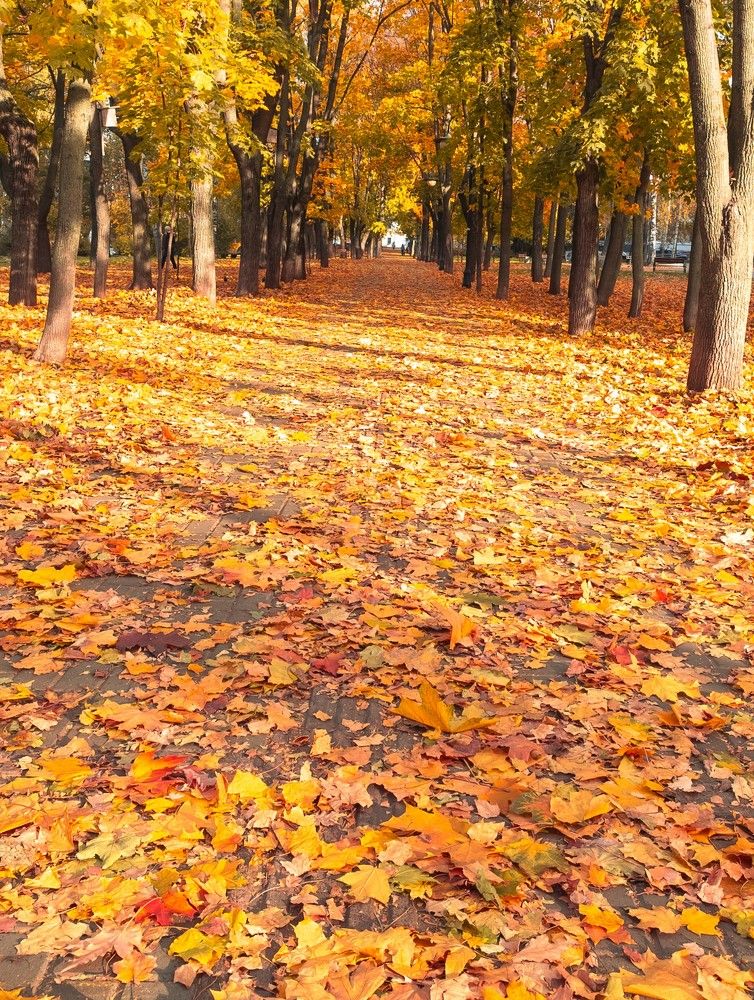 Photograph by Kseniya Shilina