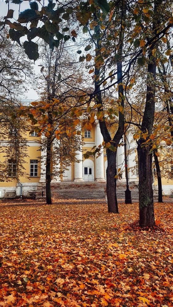 Photograph by Veronika Koneva
