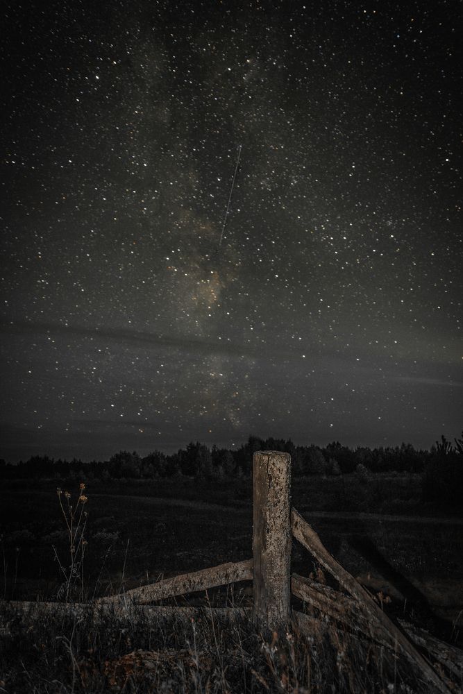 Фотография автора Шуплецов Алексей