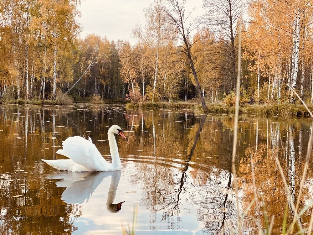 Photograph by Екатерина Балабасева