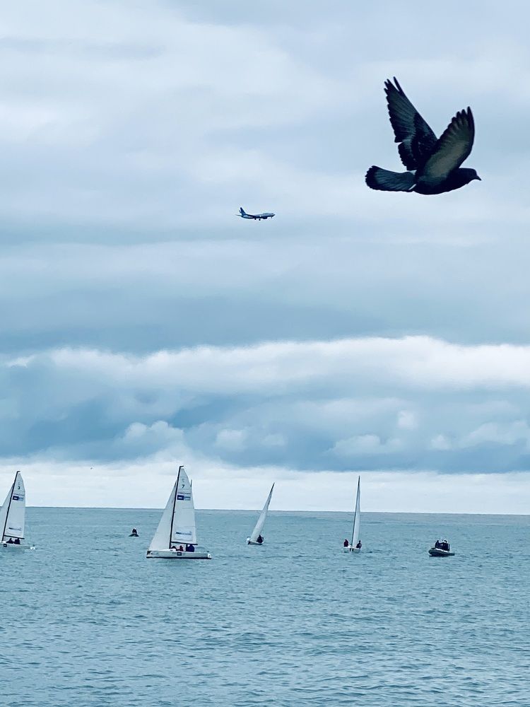 Photograph by Екатерина Балабасева