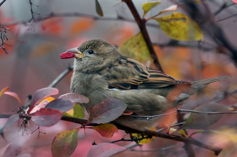Photograph by Бибичков Михаил