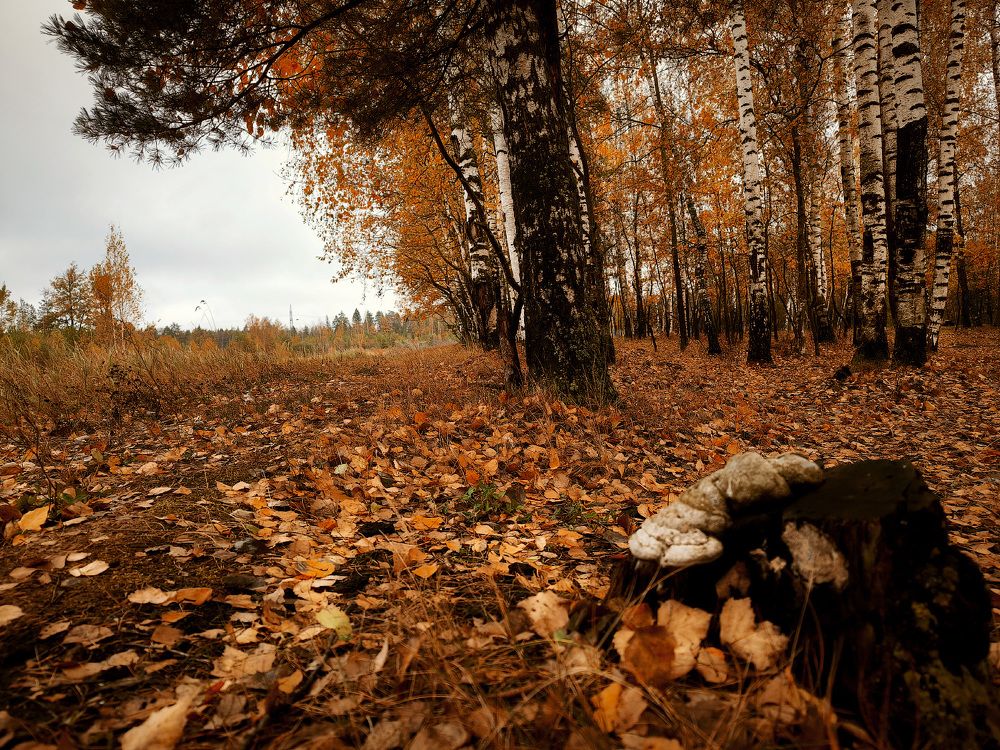 Photograph by Andrey Anikanov