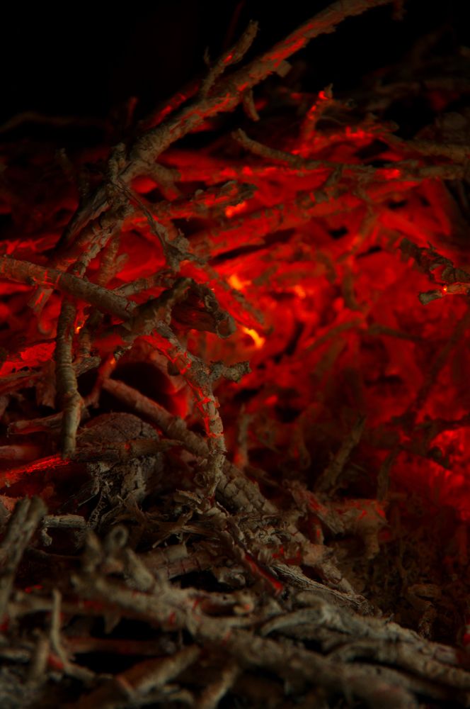 Photograph by Nadezda Sarap