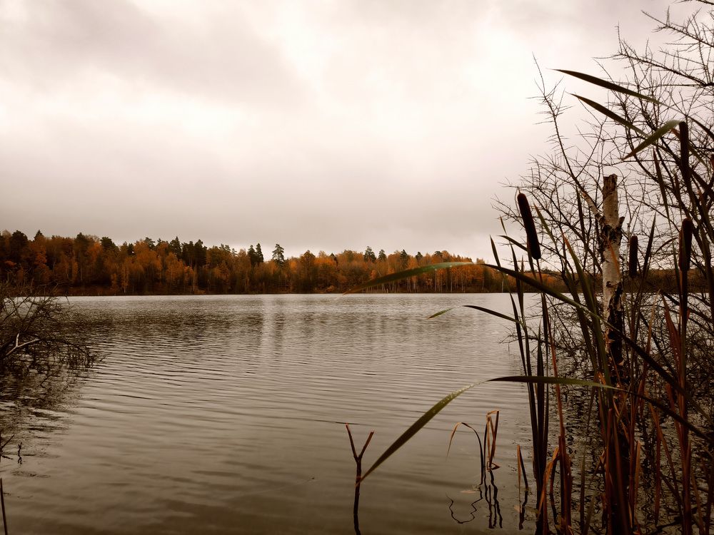 Photograph by Andrey Anikanov