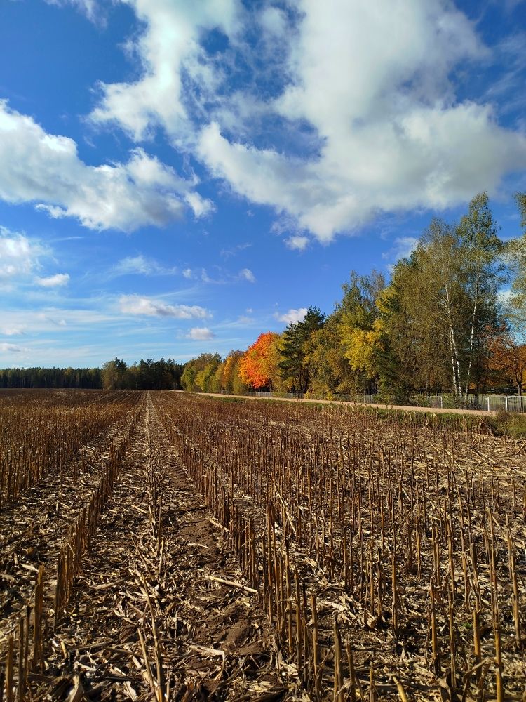 Photograph by Владимир Воложинский