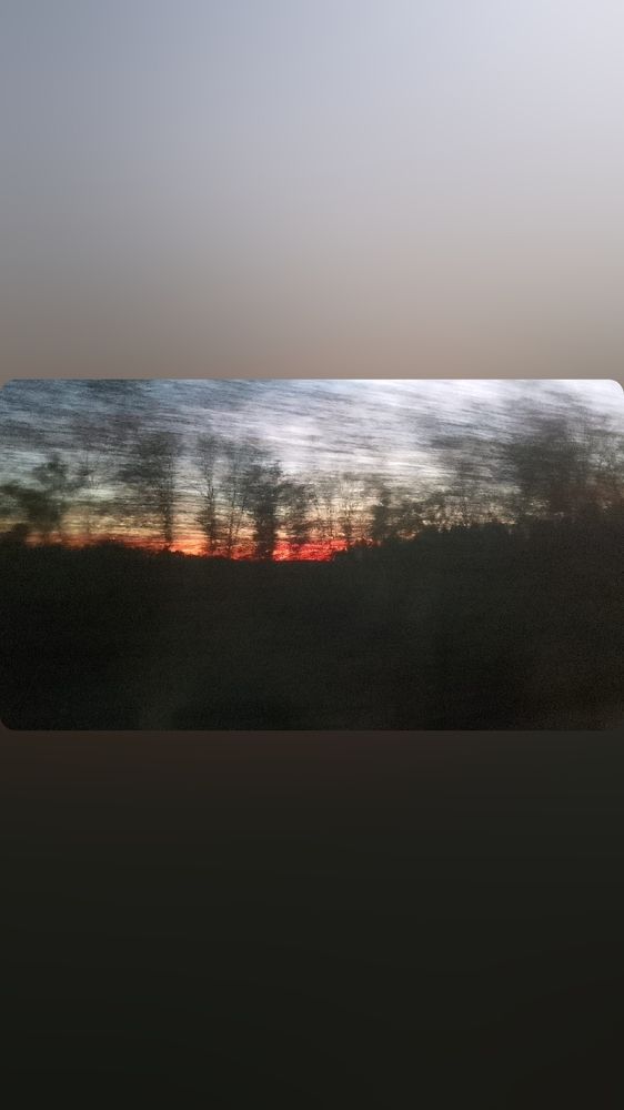 Фотография автора Гольназ
