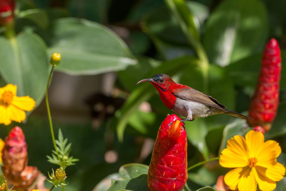 Photograph by Сергей