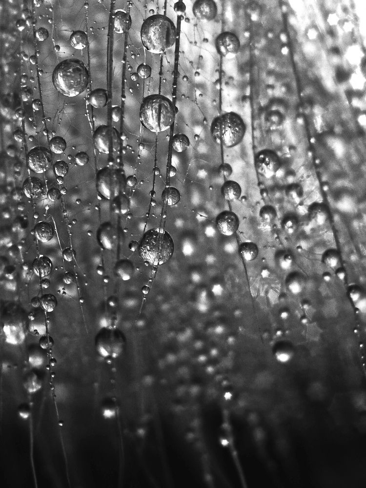 После дождя