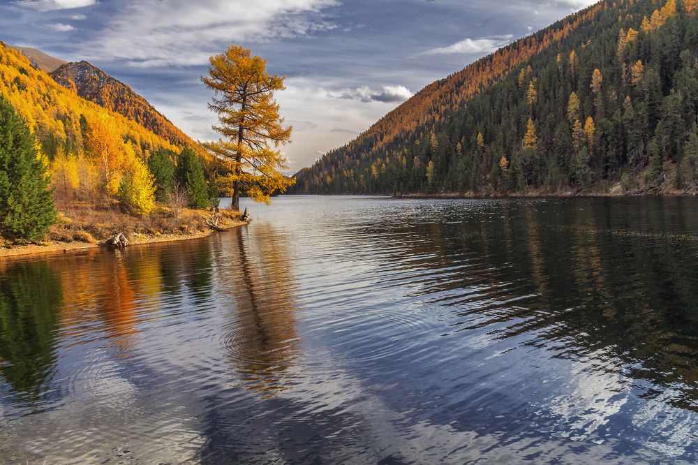 Фотография автора Марина Юдинских