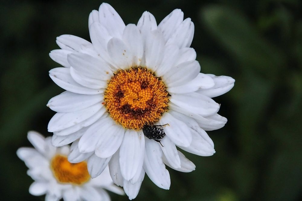 Photograph by Максим Савин