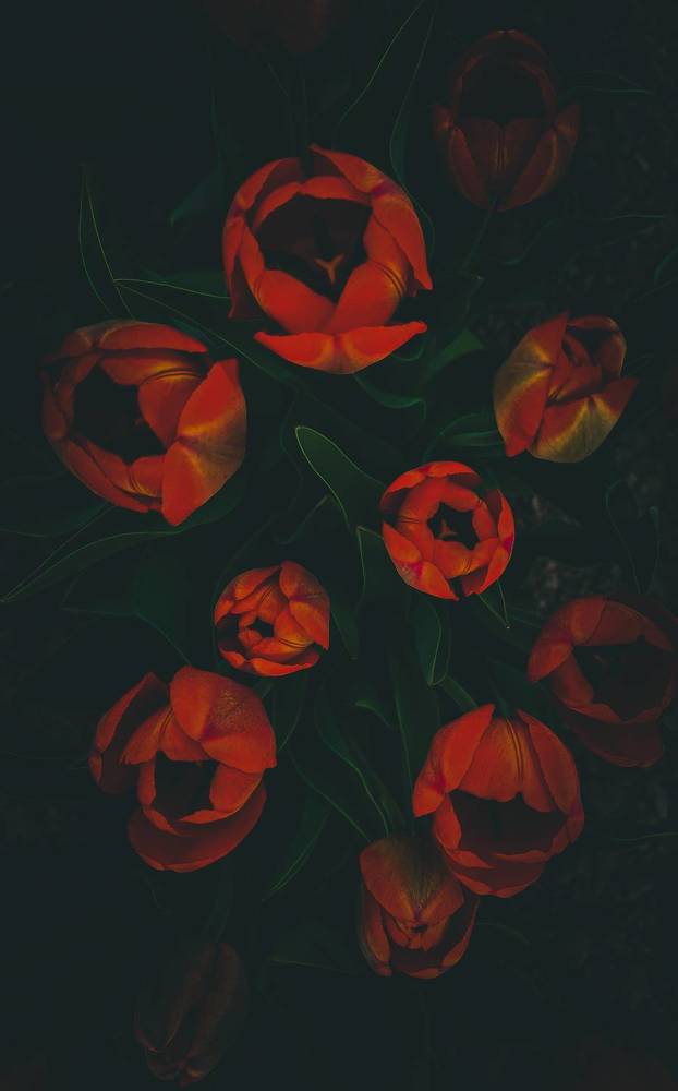 Photograph by Ирина Герлин