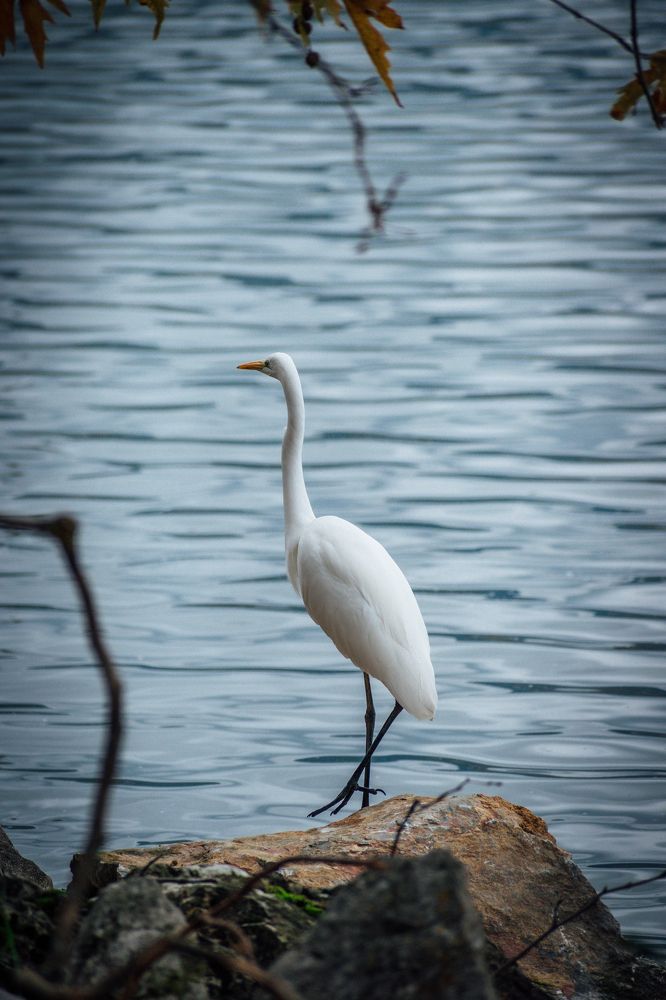 Photograph by DIMITRIOS SIONAKIDIS