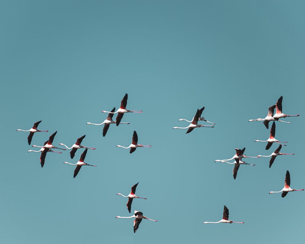 Photograph by DIMITRIOS SIONAKIDIS