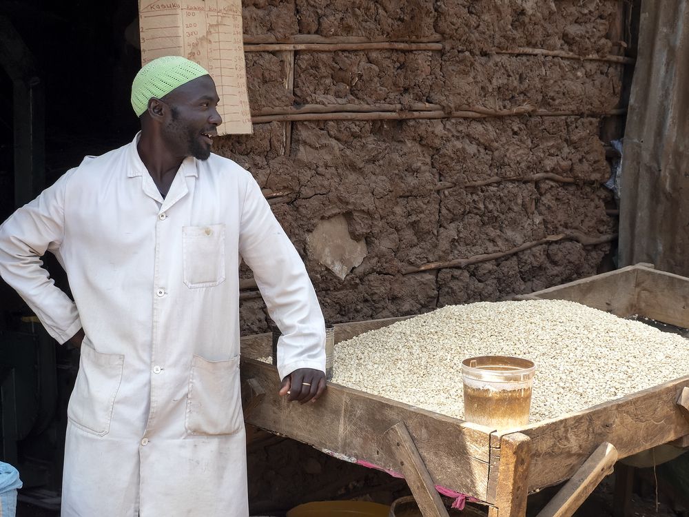 Продавец рыбешки. Кения