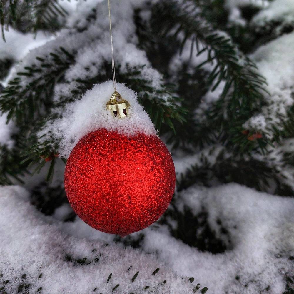 Photograph by Юлия Коробкова