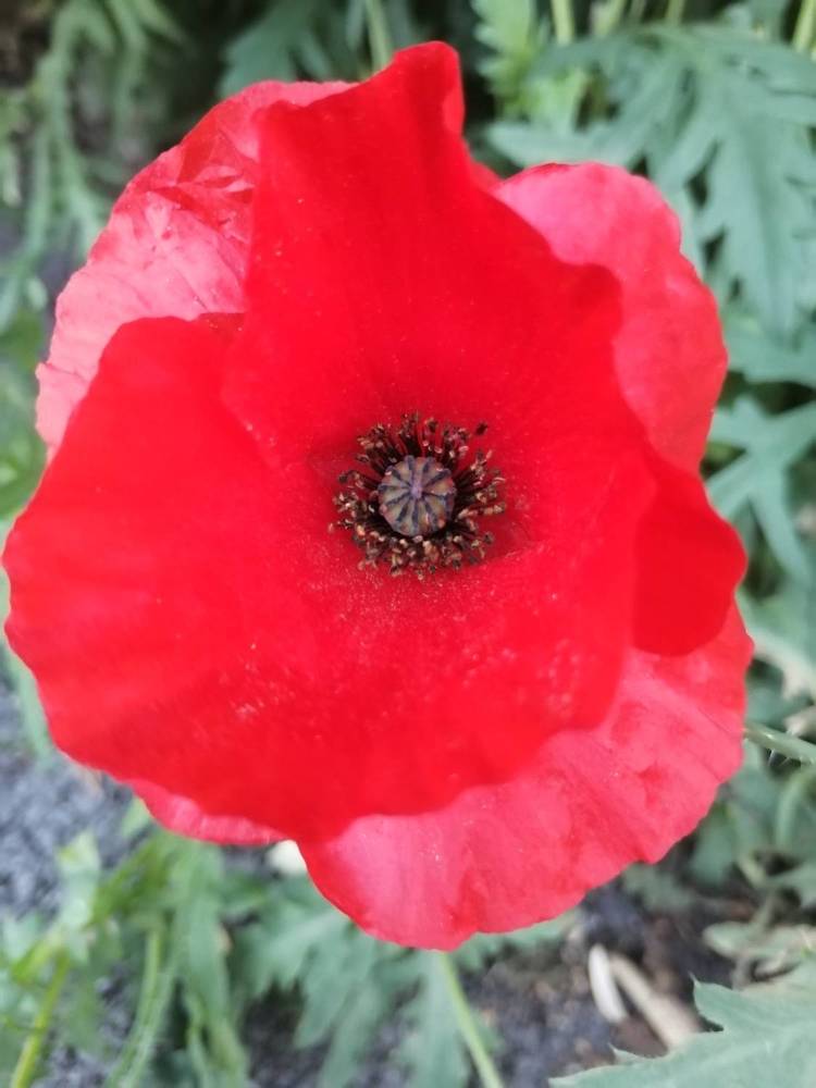 Photograph by Наталия