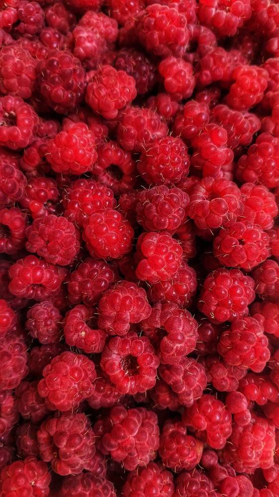 Photograph by Юлия Коробкова