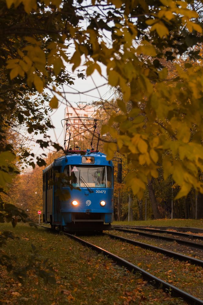 Photograph by Sveta_Poln