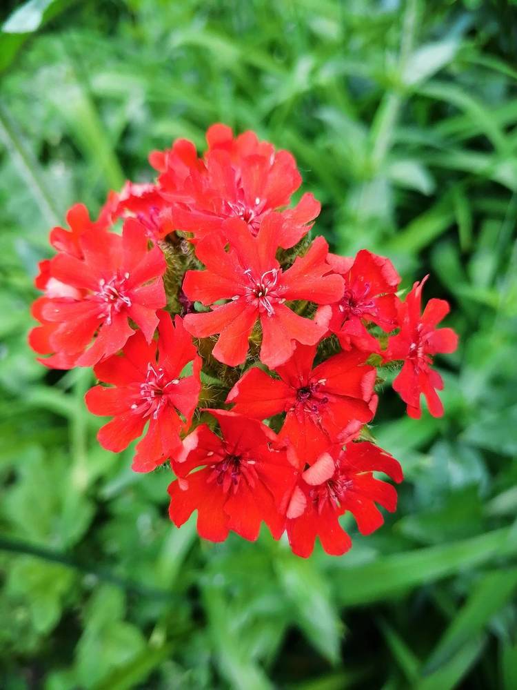 Photograph by Наталия