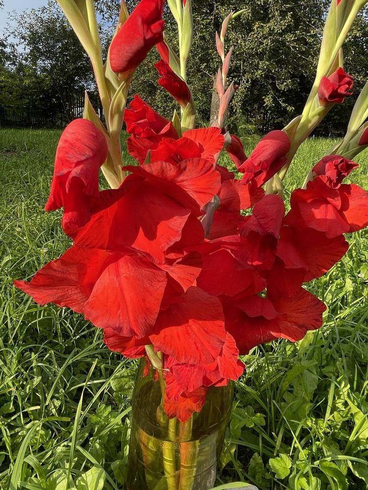 Photograph by Марина Мирошниченко