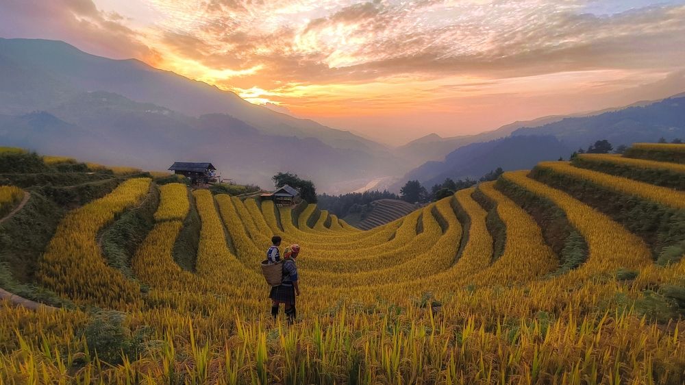 Photograph by Kevin Nguyen