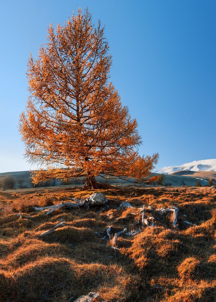 Photograph by Загруев Михаил