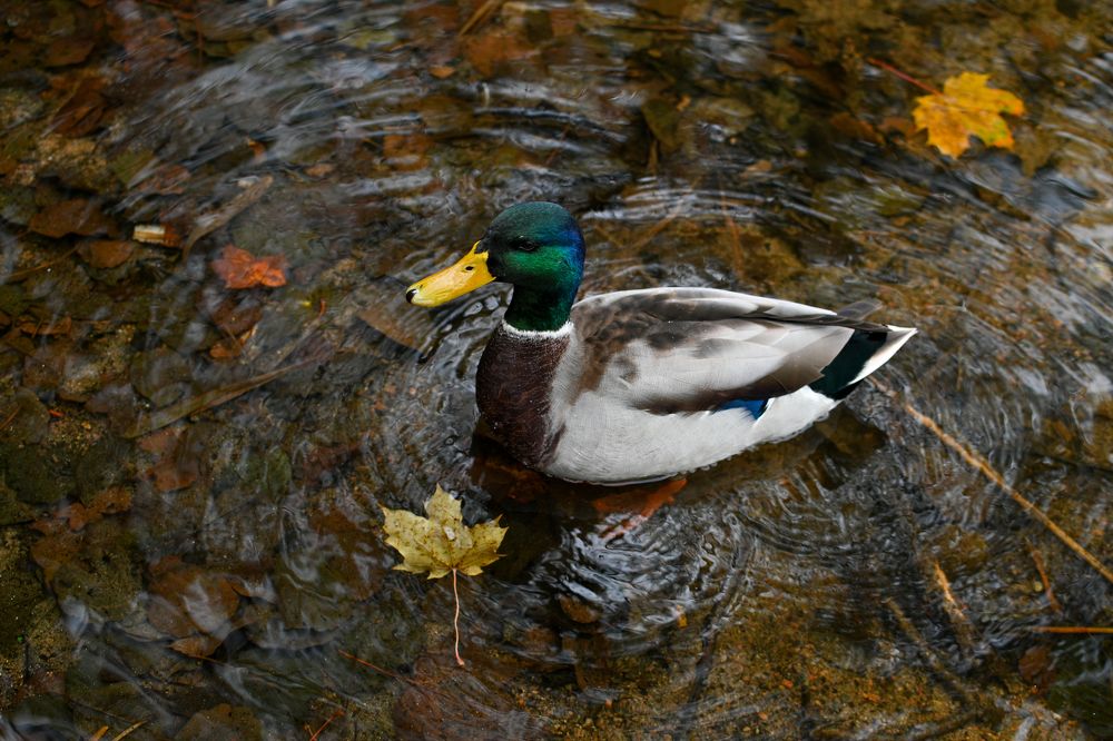 Photograph by Евгения Щербинина