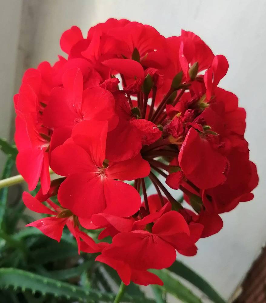 Photograph by Наталия