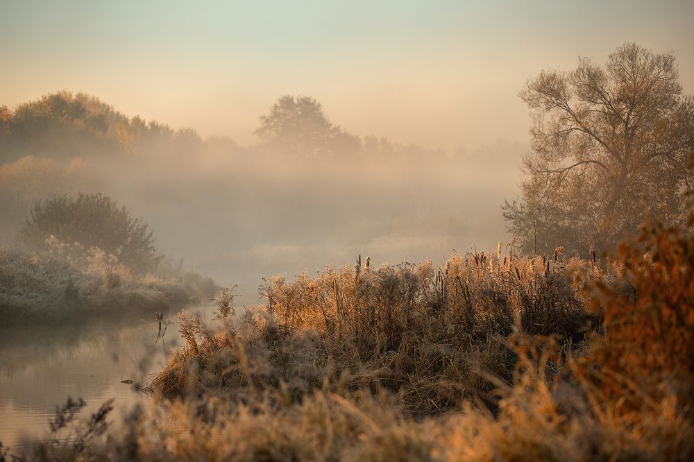Photograph by Екатерина Митина