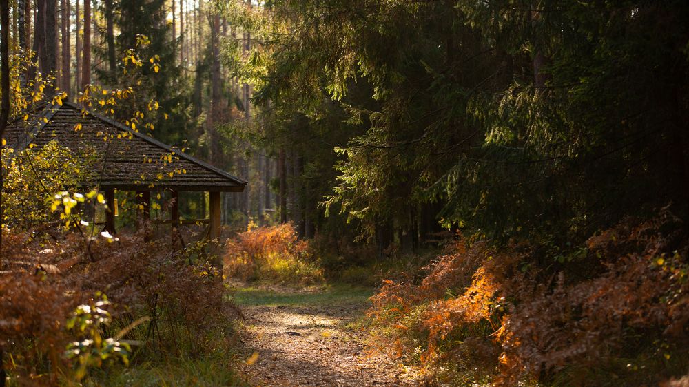 Photograph by Екатерина Митина