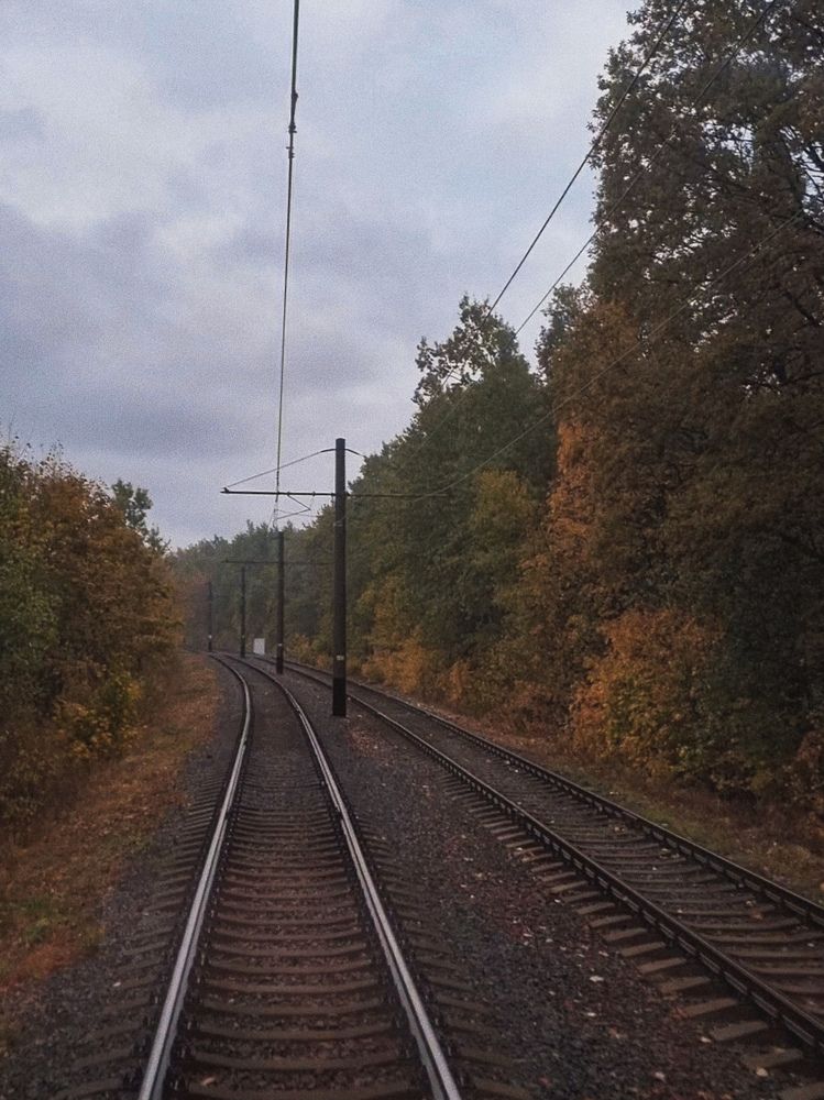 Photograph by Александра