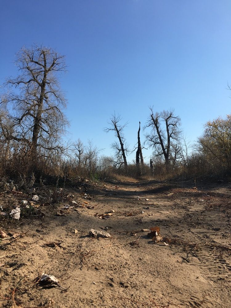 Фотография автора Балановская Виктория