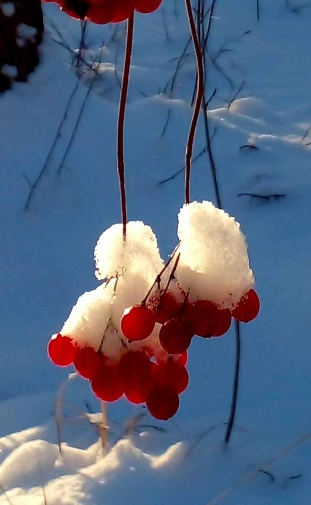 Photograph by Максим Иванов