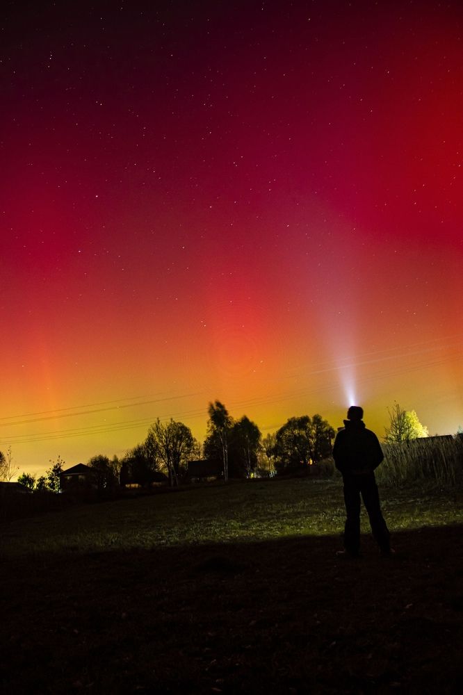 Photograph by Максим Савин