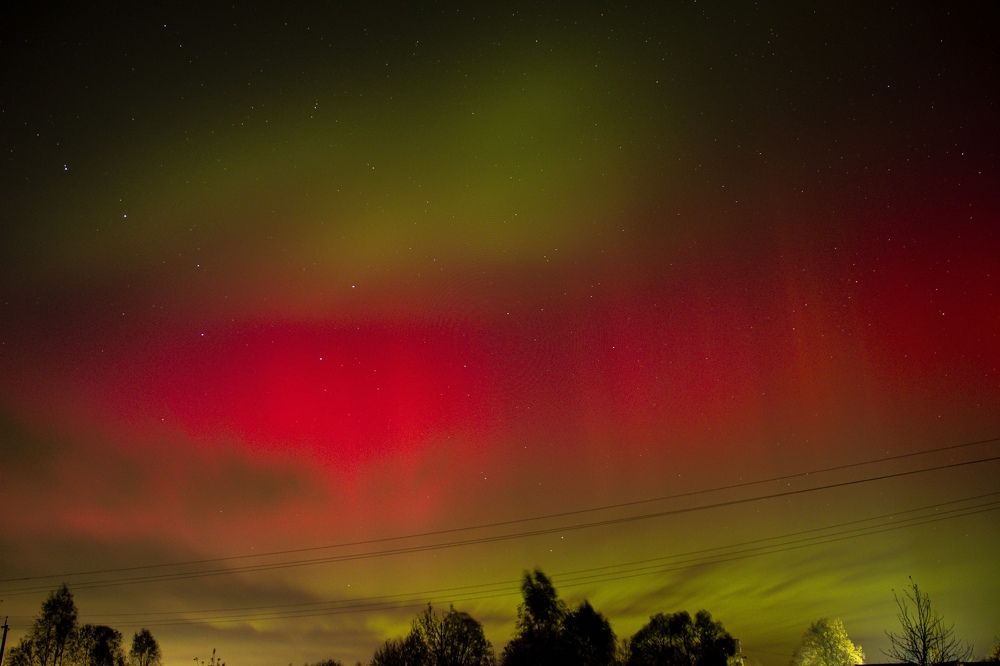 Photograph by Максим Савин