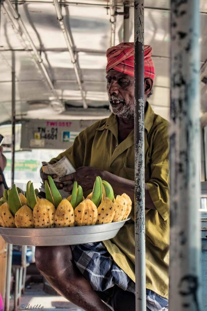 Photograph by John britto